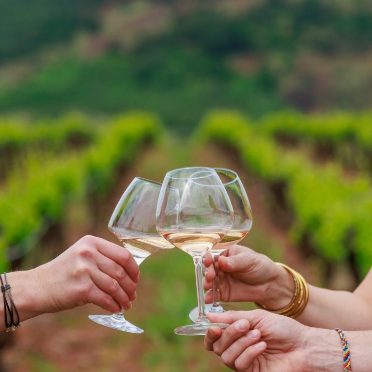 Dégustation vin Hérault