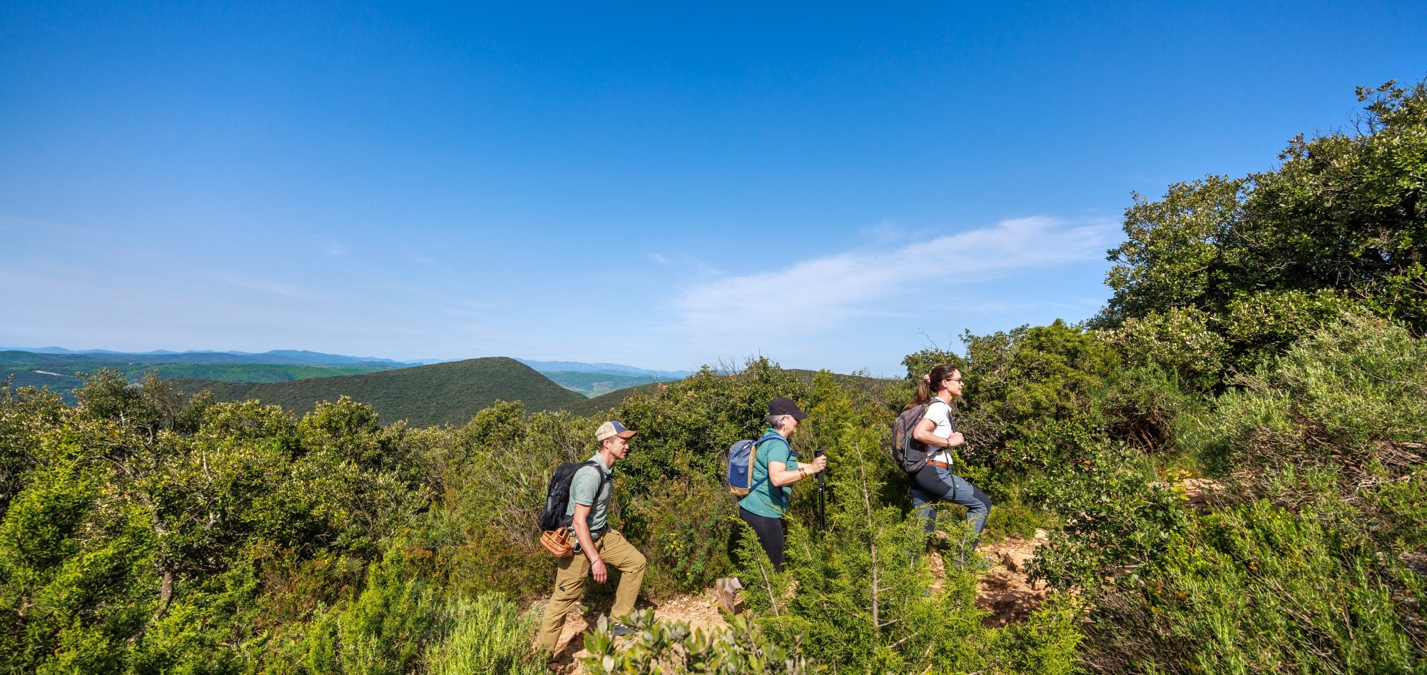 Balade guidée Salagou, Clermont l'Hérault